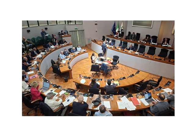 immagine articolo:IN AULA NOMINA AMAT, INTERROGAZIONI, INTERPELLANZE E MOZIONI